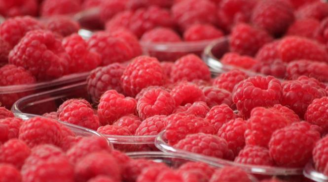 preturi uriase fructe sezon cat costa un kilogram zmeura autohtona