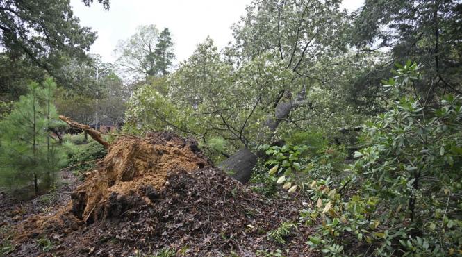 avertizare meteo imediata de vant puternic iata lista localitatilor afectate