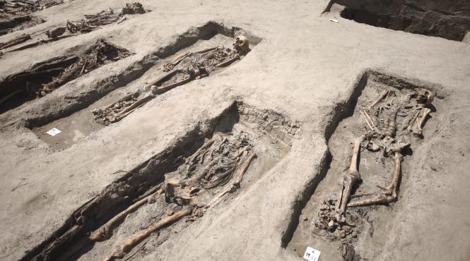 lagar exterminare salcia detinuti omorati groapa comuna insula mare braila