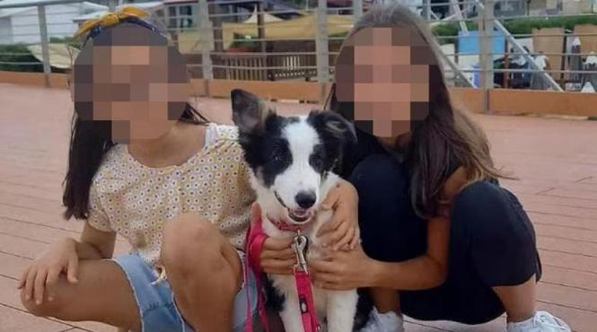 surori disparute gasite in viata formia mama bunic arestati
