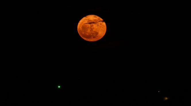 luna capsuna 2026 cand poate fi observata cer