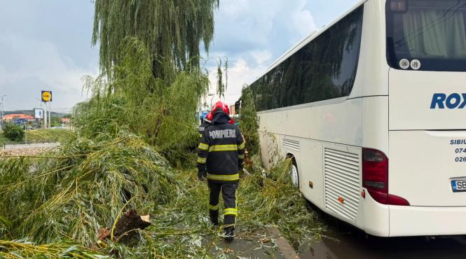 furtuni romania dosare dauna omniasig bucuresti ilfov