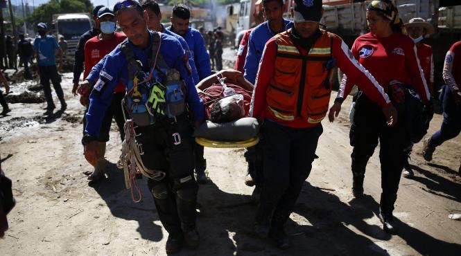 venezuela cutremur animale de companie