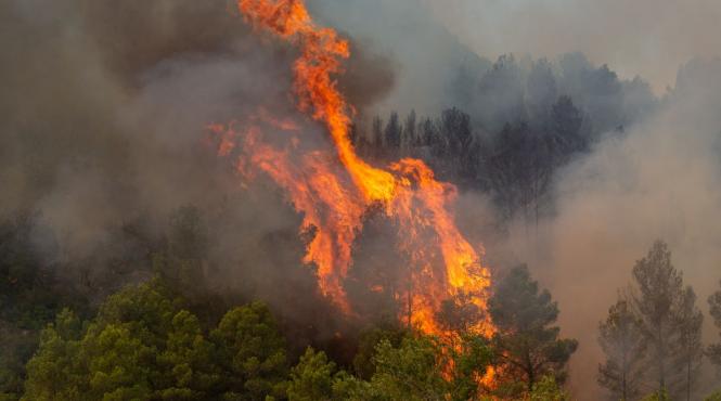 turul frantei 2026 pericol incendii etapa fara spectatori