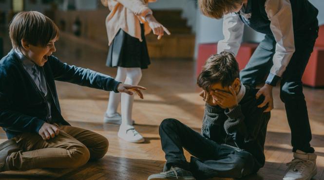 amenzi uriase directori scoli ignora bullying