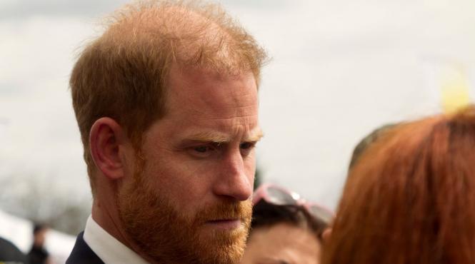 tensiuni familia regala britanica inaintea vizitei printului harry regatul unit cum reactionat regina camilla