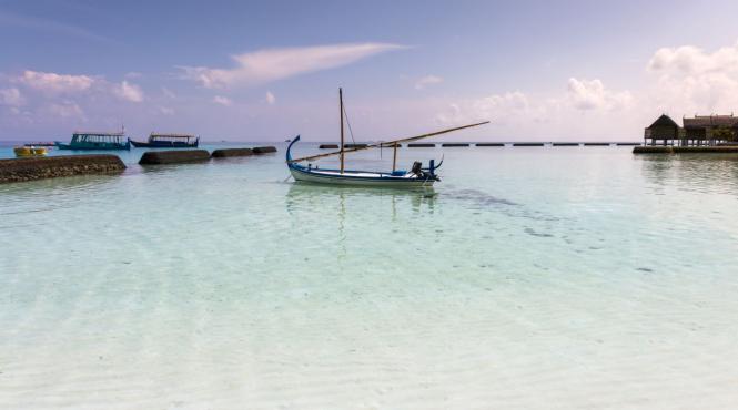 8 zileoceanul pacific povestea pescarului supravietuit apa ploaie peste crud