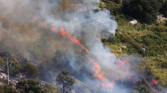 alerta mae cod rosu portocaliu incendii vegetatie franta