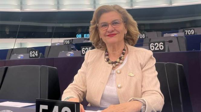 maria grapini pusl legea salarizarii criza sociala