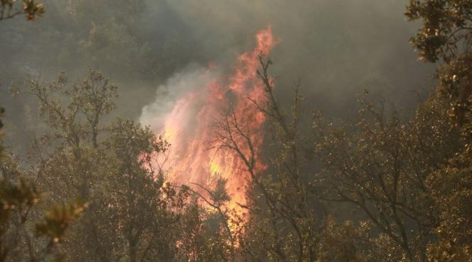 incendii franta evacuari cap ferret alerta mae romani