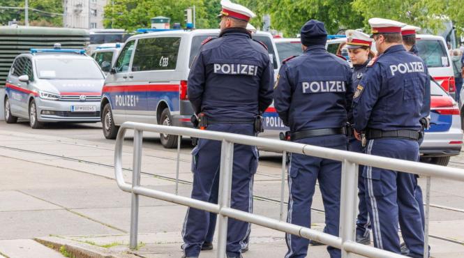 roman ucis viena polonezi batut dunare inecat