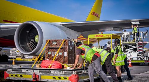 Când coletele au prins viață: cum să transporți cu avionul antilope și babuini? Cele mai neobișnuite livrări făcute în 2025