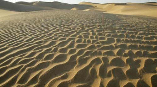 De ce Arabia Saudită și Emiratele Arabe Unite importă nisip din Australia, deși au miliarde de tone în deșerturile lor imense