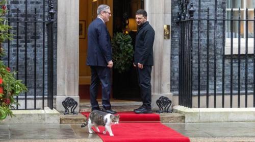 „Lăsați l să intre, e frig”. Motanul Larry, vedeta zilei la întâlnirea aliaților cu Zelenski. A fost mai fotografiat decât Macron