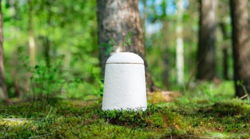 Noua „modă” la înmormântări: Primul sicriu 100% biodegradabil din lume făcut din ciuperci. Se cultivă în 7 zile și arată ca un cocon