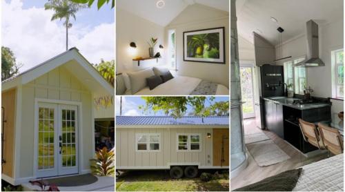 Oamenii sunt fermecați de această micro casă de 2,5 metri lățime, cu un interior încântător. Ce dotări are și cât costă