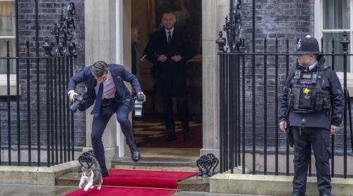 Scene amuzante cu Larry, motanul de la Downing Street. De această dată, fotograful lui Nawrocki era să l calce pe coadă la propriu