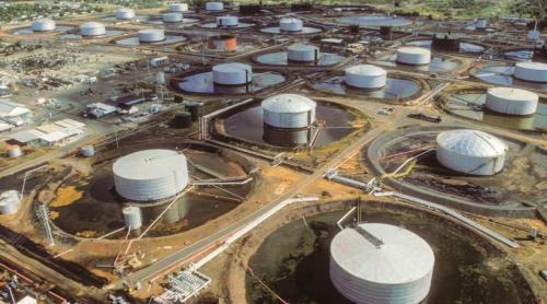 Venezuela este țara cu cele mai mari rezerve dovedite de petrol din lume, urmată de Arabia Saudită. Ce resurse naturale mai deține