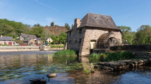 Doi soți au cumpărat o casă în care știu că vor fi inundați, dar nu regretă nimic: „Ridicăm prizele și mobila”