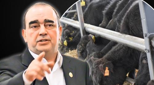 Mitică Dragomir a explodat după informaţiile că ferma lui Gigi Nețoiu ar fi fost închisă: „Ce avize? Sunteţi nebuni? Îl vor opri să mulgă vacile?”