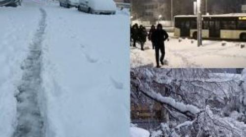 Ninsori record în Capitală: de ce a venit târziu mesajul Ro Alert? Viscolul se mută în sud estul țării