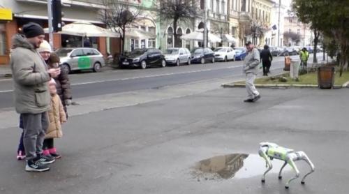 Orașul din România unde patrulează roboți umanoizi și patrupezi pe străzi: „Agenții” cu AI fac curățenie și „vorbesc” cu locuitorii