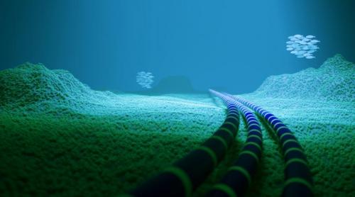 Primul cablu transatlantic cu fibră optică din lume este smuls de pe fundul oceanului, după 37 de ani: Cum a schimbat TAT 8 istoria