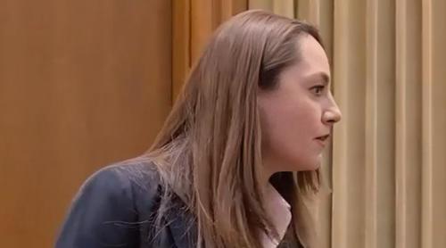 Anamaria Gavrilă a făcut o criză de nervi în plen. A țipat la o colegă deputat: „Stai în banca ta”