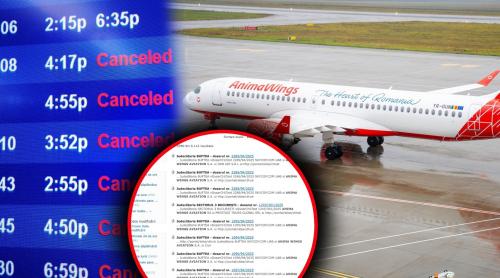 AnimaWings anulează zboruri în serie! Pericol de faliment? Deși are mii de procese pe rol, compania spune că nu are probleme financiare