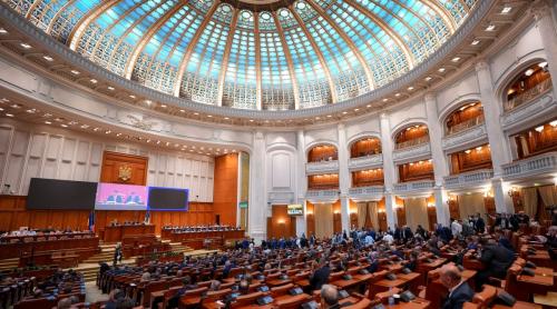 Cine este deputatul care a dat singurul vot împotriva legii privind femicidul: este o femeie