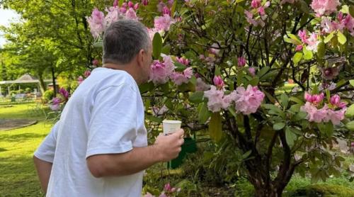 Dezastru pentru fostul parlamentar european! A pierdut 1.350.000 de dolari în câteva ore