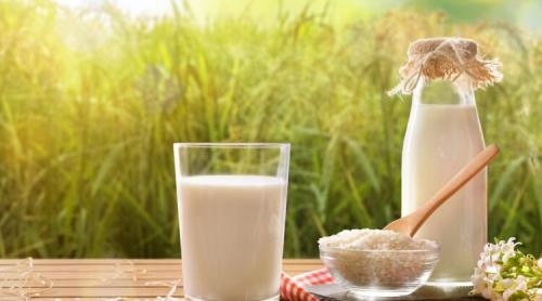 Lapte vegetal din orez. Rețetă de băutură simplă și delicată