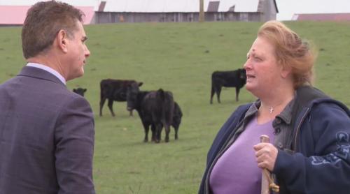 O femeie refuză să și vândă ferma cu 26 de milioane de dolari, deși valorează de 10 ori mai puțin. Cum explică decizia