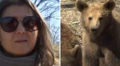 Reacţia unei turiste din Pakistan după ce a vizitat sanctuarul de urşi de la Zărnești: E un lucru nobil