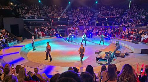 Striptease cu tricolorul la Circul de Stat din București. Preludiu, excitare, delir: „Cum e România acum?”