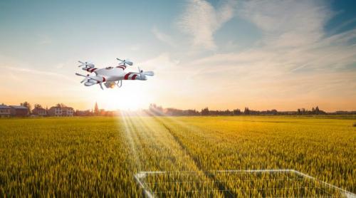 Un tânăr de 16 ani a refuzat o ofertă de 300.000 de dolari ca să renunțe la școală, după ce și a dezvoltat propria afacere de succes