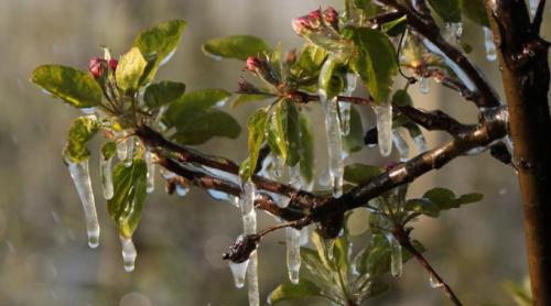 Un val de aer polar ajunge peste România, luna aceasta. Când se răcește vremea în martie: Prognoza ANM arată și inversiuni termice