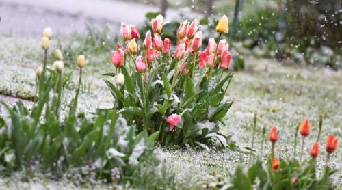 Alerte meteo în aproape toată țara, în Săptămâna Mare: Va ninge, iar în unele zone se depune zăpadă. Hărți cu județele sub cod galben