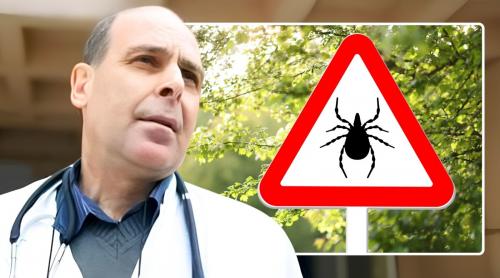 Boala transmisă de căpușe, mult mai periculoasă decât Lyme: „Are o mortalitate destul de mare”. Dr. Virgil Musta avertizează: nu faceți asta după mușcătură, dacă nu vă pricepeți!