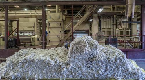 Burkina Faso își extinde controlul. După aur, va naționaliza Sofitex, gigantul producător de bumbac evaluat la 607 milioane de dolari