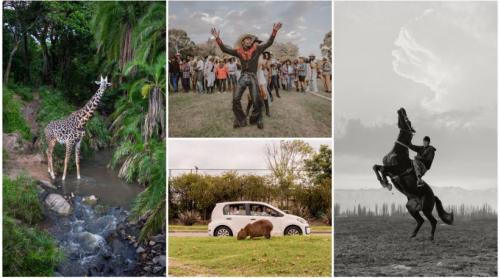 Cele mai spectaculoase imagini de la premiile Sony World Photography Awards 2026. Oameni, animale, povești și peisaje amețitoare