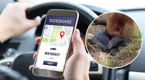 Dosar penal după un incident șocant în Iași. Șoferul de ride sharing care a sunat la 112, cercetat după ce o pasageră a sărit din mașină în mers. „Este un caz de manual privind vinovăția” VIDEO