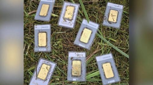 Zece lingouri de aur, descoperite de angajatul unei primării în timp ce tundea iarba: Nimeni nu le a revendicat. Cine va păstra comoara