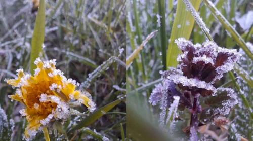 E cea mai rece zi de 1 mai din istoria măsurătorilor, în România: Cum a dus blocajul atmosferic Omega la recorduri termice minime