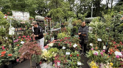 Explozie de flori și fructe exotice la Agronomie. Cât au plătit oamenii pentru „Mâna lui Buddha” „Banana Nordului” și smochinul mov