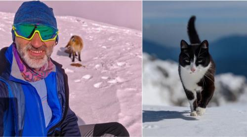 Omul de pe Omu. Povestea meteorologului care trăiește la peste 2.500 de metri, cu pisica Rodica și vulpea Foxy