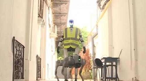 Primul oraș din România unde roboți umanoizi și robo câini patrulează pe străzi. Agentul IA face curățenie și vorbește cu oamenii