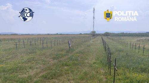 Azilele groazei în Bihor. Sute de bătrâni, ținuți în condiții mizere, pentru pensii și donații. Când mureau, erau îngropați pe câmp