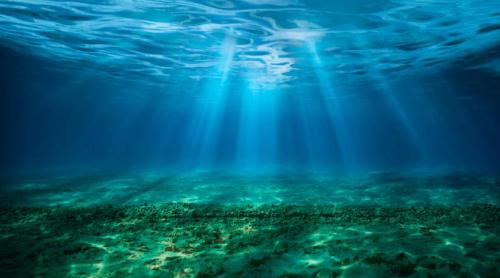 În toate oceanele lumii, dar și în Marea Mediterană, au fost descoperite genele rezistente la antibiotice