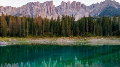 Italia a plantat milioane de molizi pentru a proteja Alpii. După 90 de ani, cercetătorii descoperă că biodiversitatea s a înjumătățit